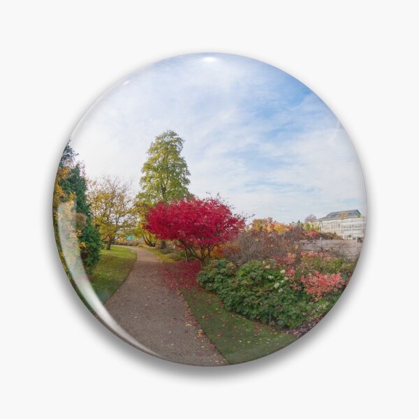 Item preview, 360 photo of a bright red Japanese Maple tree designed and sold by yackers1.