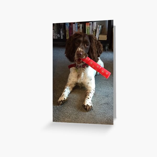 What a Cracker Greeting Card