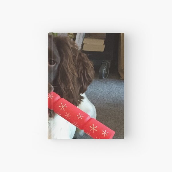 What a Cracker Hardcover Journal