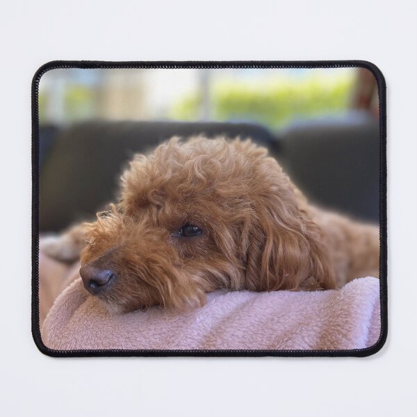 Item preview, Milo designed and sold by JPennicott.