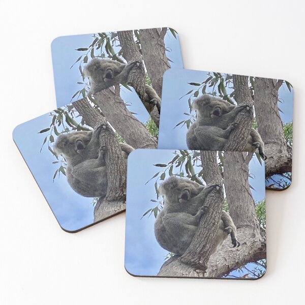 Item preview, Koala designed and sold by JPennicott.
