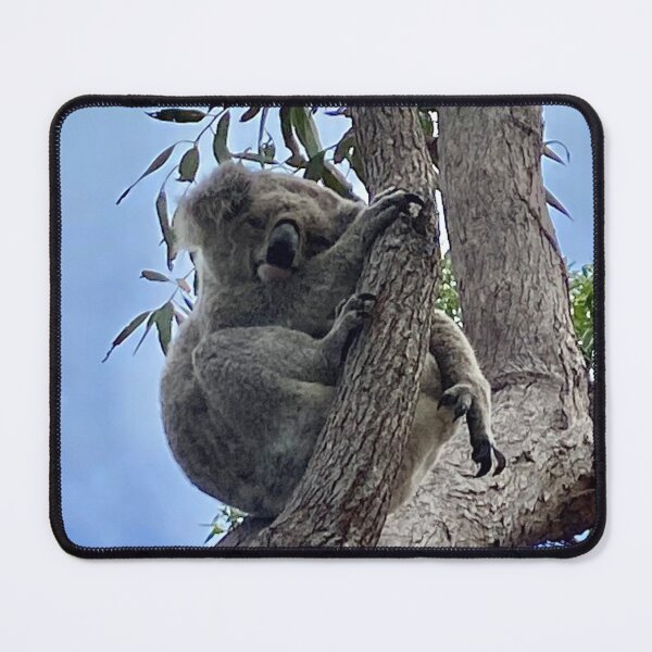 Item preview, Koala designed and sold by JPennicott.