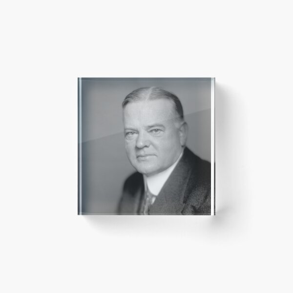 Item preview, President Herbert Hoover Portrait designed and sold by warishellstore.