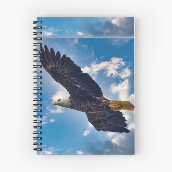 Item preview, Eagle soring designed and sold by KDartisticeye.
