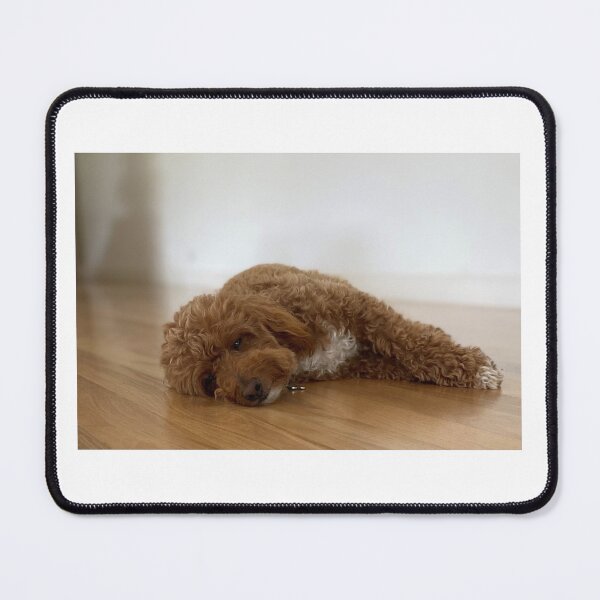 Item preview, Milo designed and sold by JPennicott.