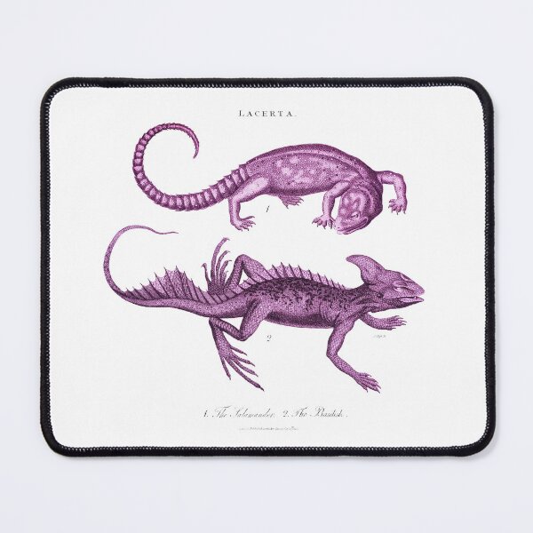 Item preview, Antique Georgian illustration lizard print designed and sold by CoreImaging.