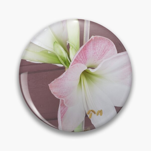 Item preview, LOOK A BEAUTIFUL  WINTER LILLY   designed and sold by Frances82253.