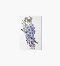 Vintage - Flower - Wisteria Art Board