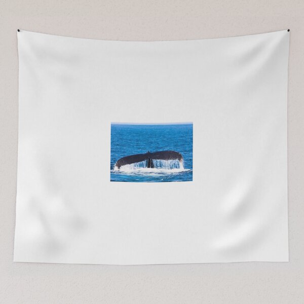 Item preview, Whale designed and sold by ssviluppo.