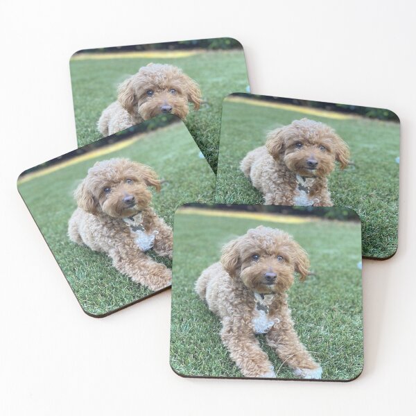 Item preview, Milo designed and sold by JPennicott.