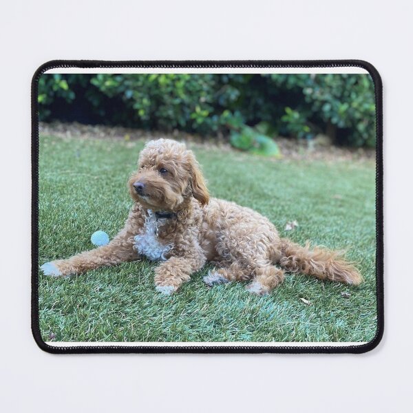Item preview, Milo designed and sold by JPennicott.