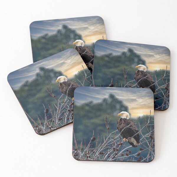 Item preview, Female Bald Eagle in tree designed and sold by KDartisticeye.