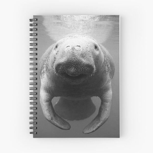 Item preview, Manatee in Black and White  designed and sold by BissyCollective.