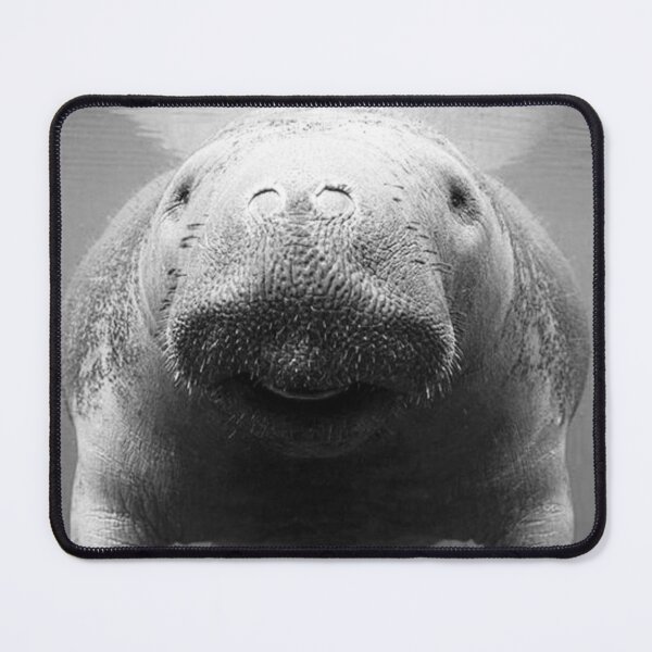 Item preview, Manatee in Black and White  designed and sold by BissyCollective.