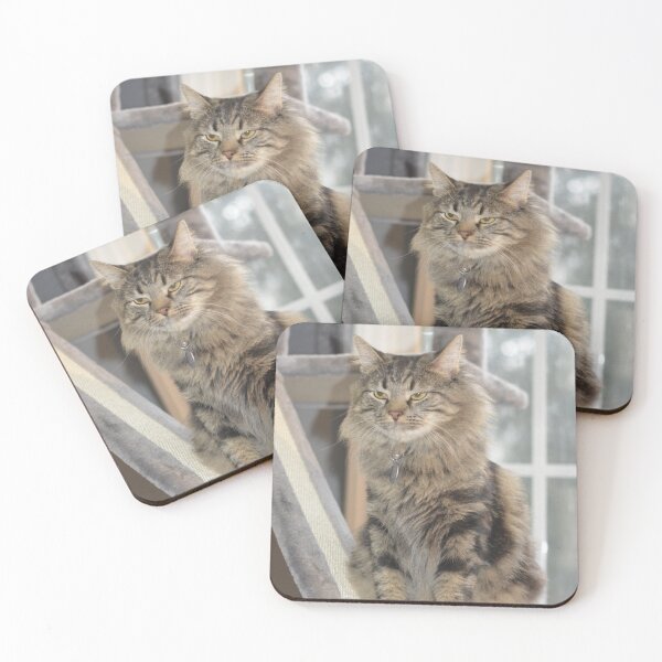 Item preview, Not Amused Cat designed and sold by CABB-Designs.