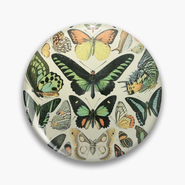 Item preview, Adolphe Millot Papillons B - Millot Butterflies Enhanced Copy designed and sold by molamode.