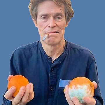 willem dafoe cigarette meme willem dafoe holding 2 moldy oranges