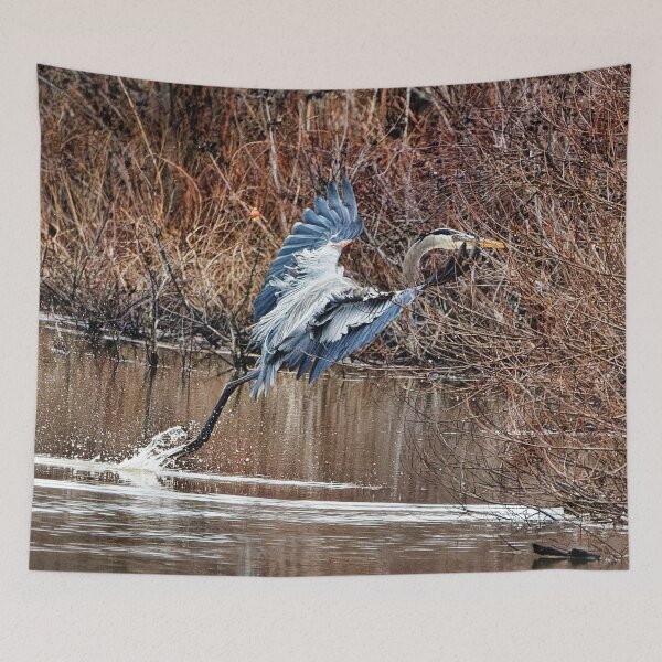 Item preview, Great Blue Heron landing in the marsh designed and sold by KDartisticeye.