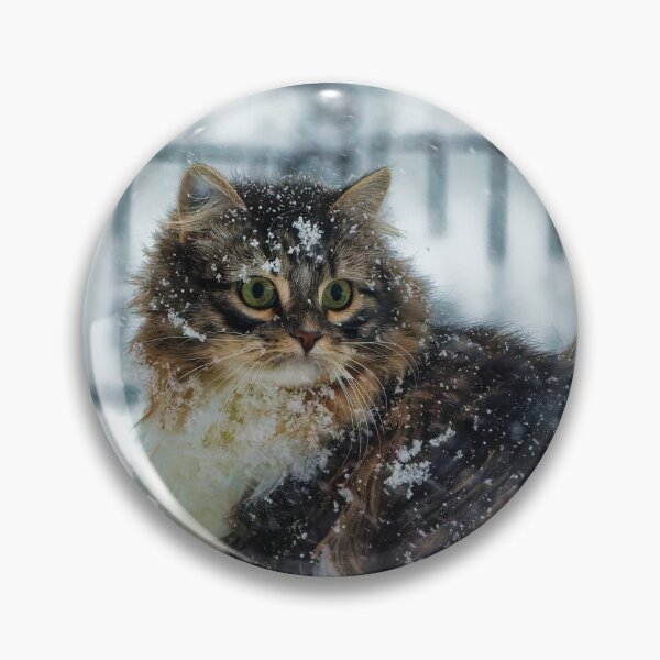 Item preview, Siberian Forest kitten in the snow designed and sold by KDartisticeye.