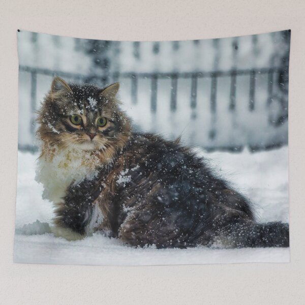 Item preview, Siberian Forest kitten in the snow designed and sold by KDartisticeye.