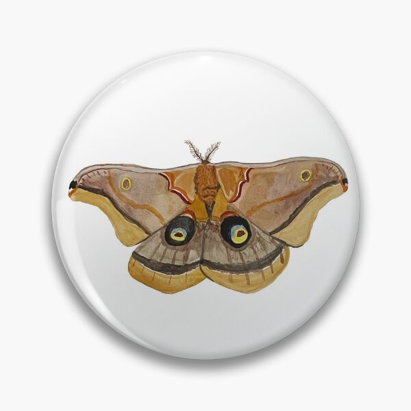 Item preview, Polyphemus Moth designed and sold by jackbattle6.