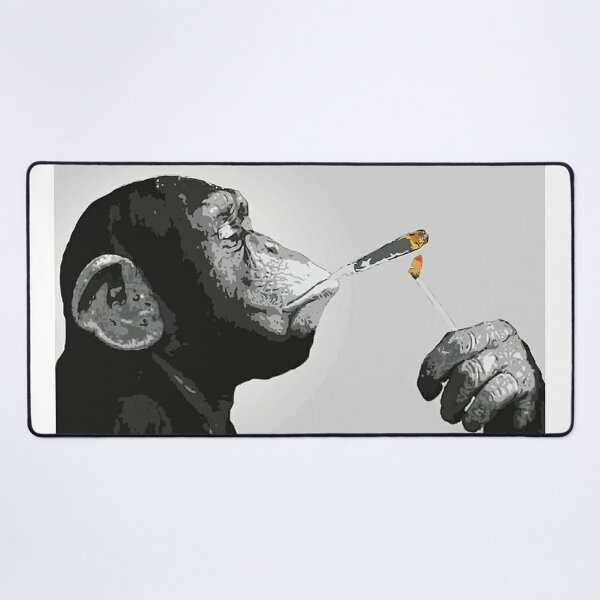 funny monkeys smoking weed