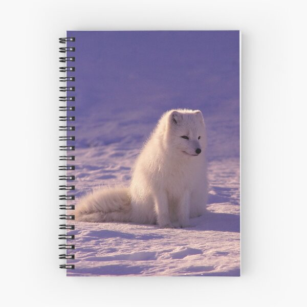 Item preview, Cute Animals White Fox With White Fur Winter Season designed and sold by Dr.YesOrNo.