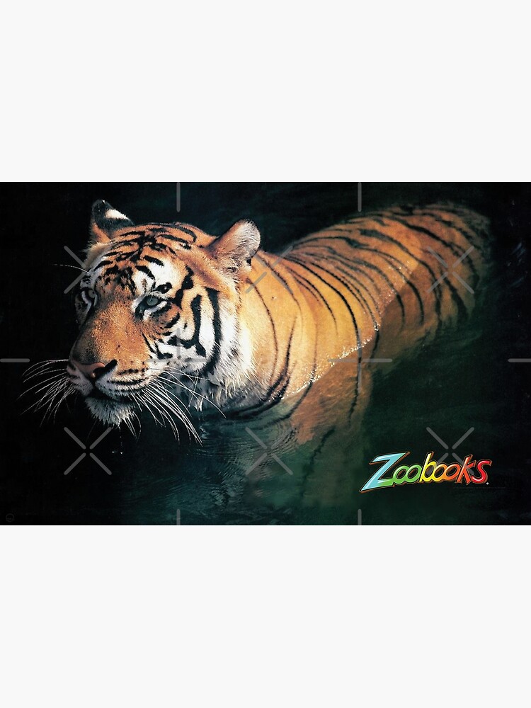 Tiger Photos for Sale