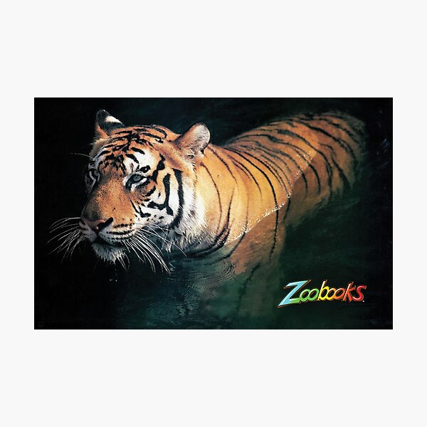 The Tiger Poster (REMASTERED) Photographic Print