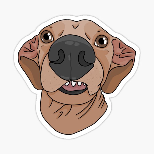 Item preview, Awkward Dachshund designed and sold by MasonsTinyPets.