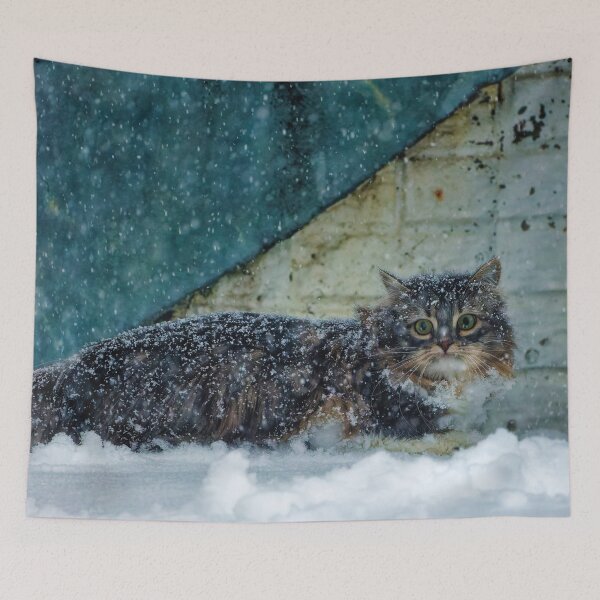 Item preview, Siberian Forest Kitten in the snow designed and sold by KDartisticeye.