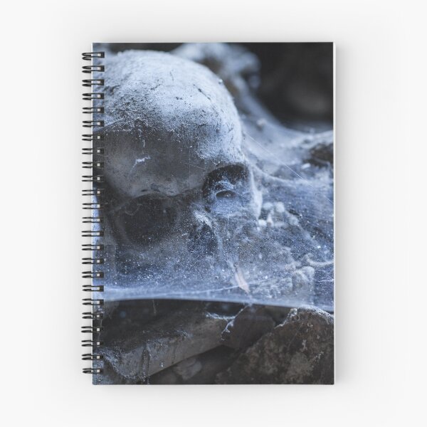Item preview, Fontanels cemetery, Naples, Italy designed and sold by ssviluppo.