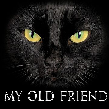 Hello Darkness Black Cat My Old Friend Essential T Shirt for Sale by nvuot24 Redbubble