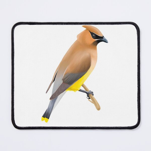 Item preview, Cedar Waxwing Bird Art designed and sold by smcewencote.