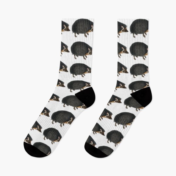 Item preview, Collared Hedgehog Vintage Illustration by John Edward Gray designed and sold by Happy-Trails.