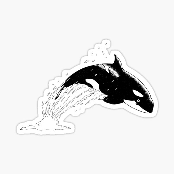 Jumping Orca Sticker