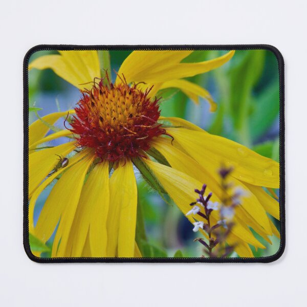 Item preview, Yellow daisy designed and sold by ArtbyBodge.