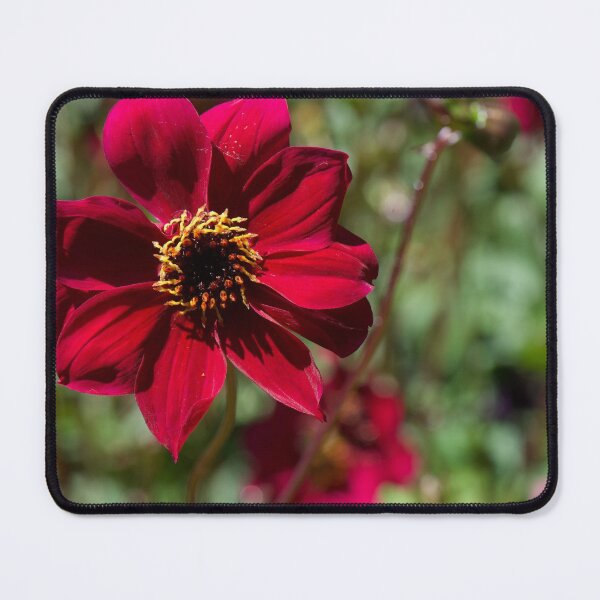 Item preview, Red Bloom designed and sold by ArtbyBodge.
