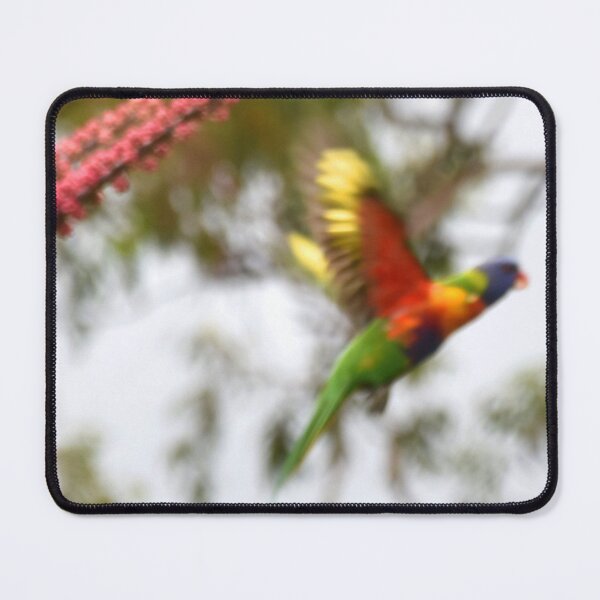 Item preview, Rainbow Lorikeet in Flight Photography designed and sold by Digitaldingo.