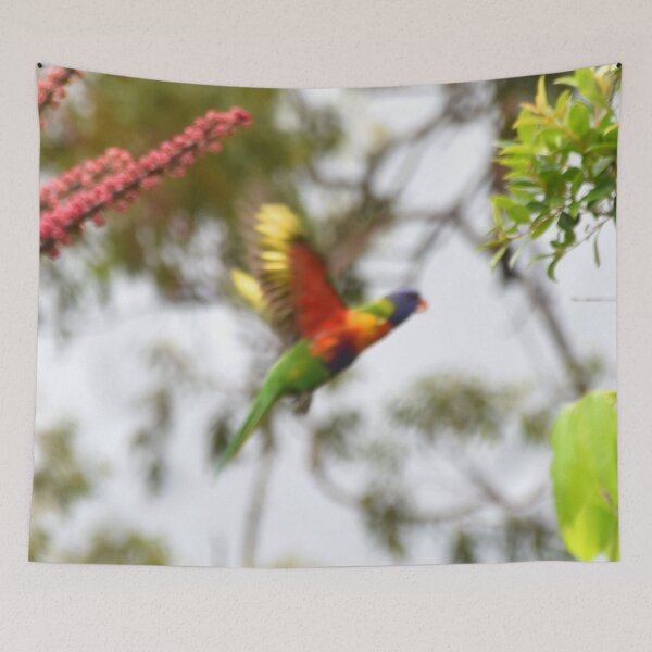 Item preview, Rainbow Lorikeet in Flight Photography designed and sold by Digitaldingo.