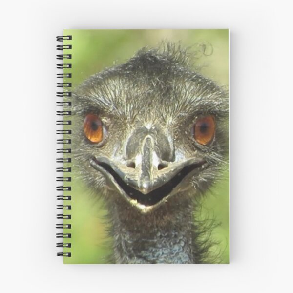 Item preview, Emu Photography designed and sold by Digitaldingo.