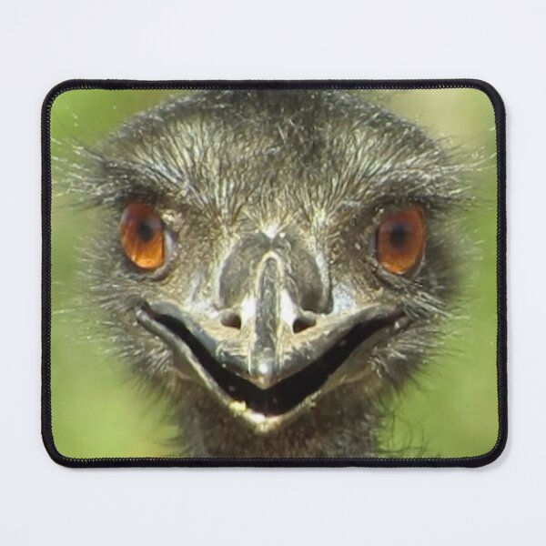 Item preview, Emu Photography designed and sold by Digitaldingo.