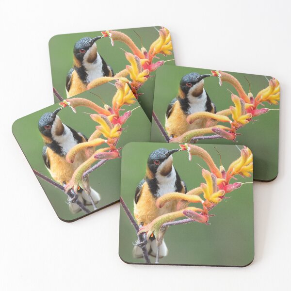 Item preview, Eastern Spinebill in Kangaroo Paw designed and sold by RAFImages.