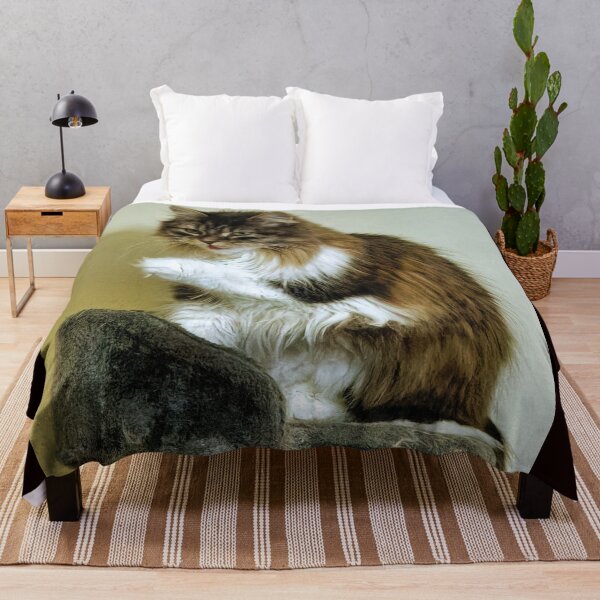 Item preview, Siberian Forest Kitten on platform designed and sold by KDartisticeye.