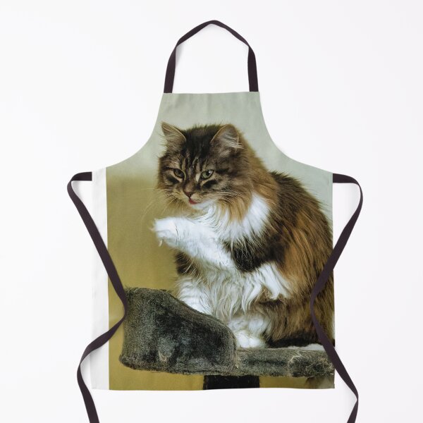 Item preview, Siberian Forest Kitten on platform designed and sold by KDartisticeye.