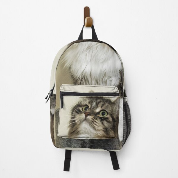 Item preview, Siberian Forest Kitten on platform designed and sold by KDartisticeye.