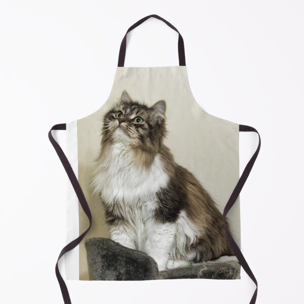 Item preview, Siberian Forest Kitten on platform designed and sold by KDartisticeye.