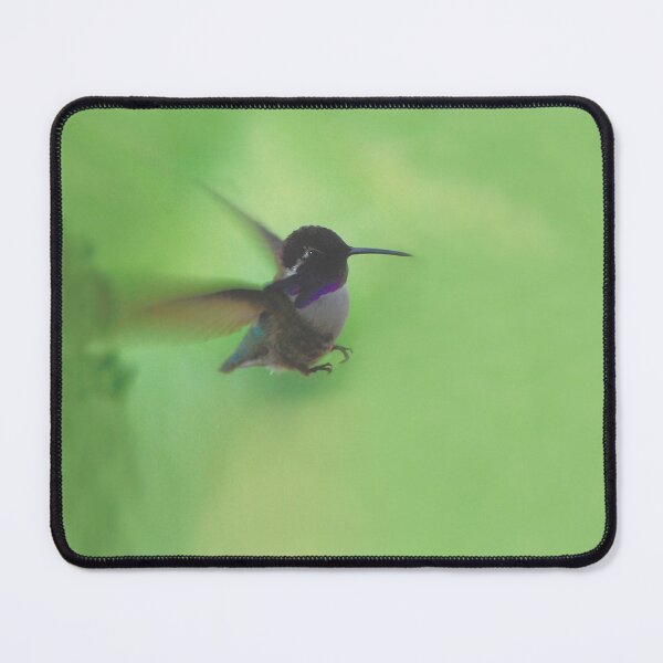 Item preview, Beautiful Hummingbird designed and sold by gmStudiosShop.