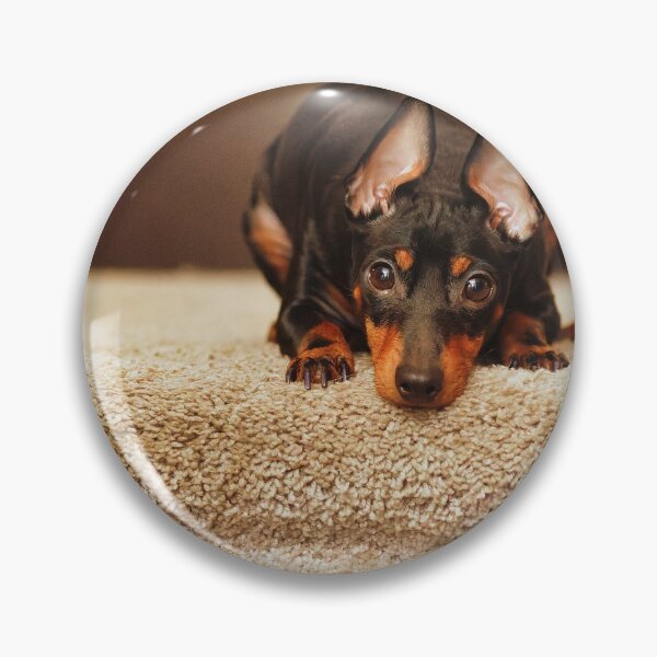 Item preview, Toy Manchester Terrier designed and sold by KDartisticeye.