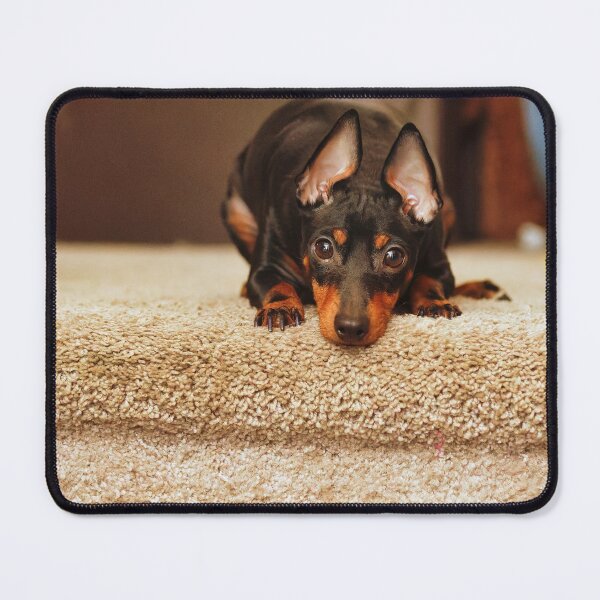 Item preview, Toy Manchester Terrier designed and sold by KDartisticeye.